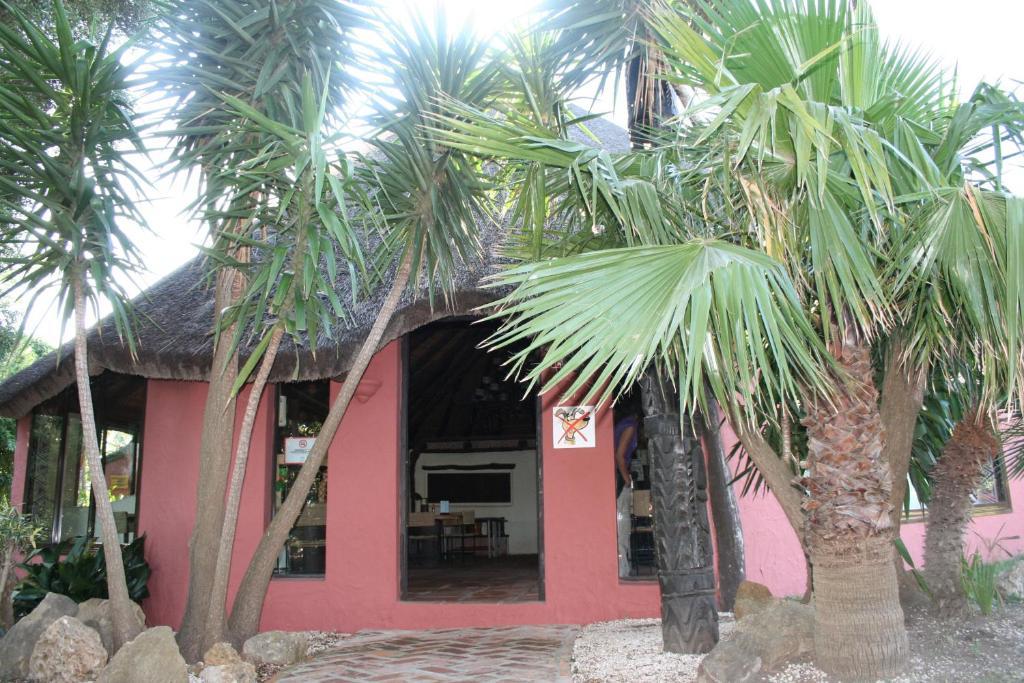 100% Fun Hotel Tarifa Buitenkant foto